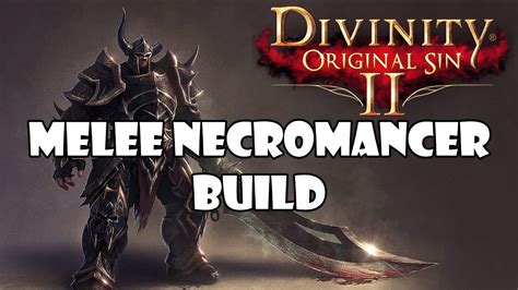 divinity 2 best necromancer build